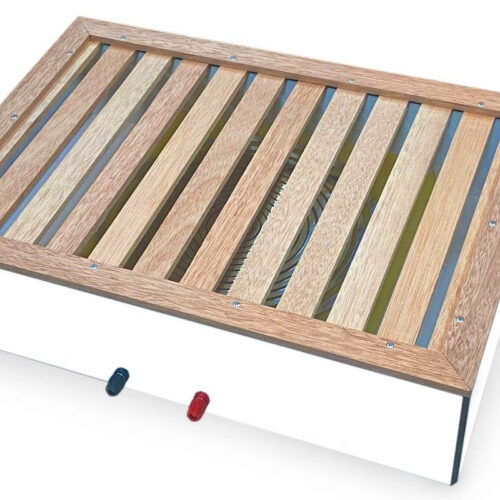 Energetic Foot System